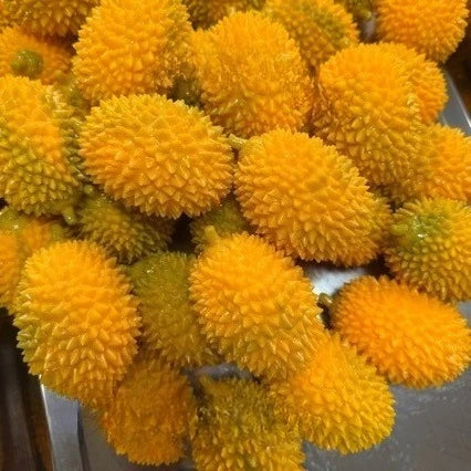Handmade Crunchy Squishy Durian and Dragon Fruit Stress Ball