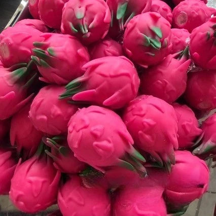 Handmade Crunchy Squishy Durian and Dragon Fruit Stress Ball